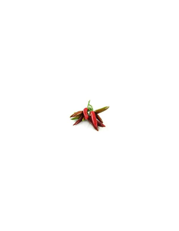 PEPERONCINO CAYENNA frutti